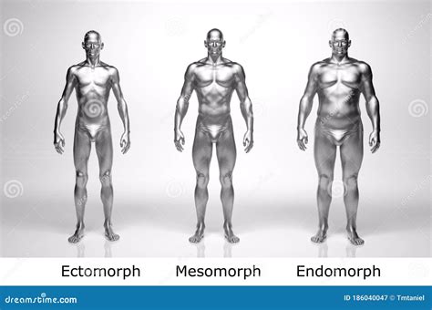 3D Render : Endomorph Overweight Male Body Type With Happy Smiling Face ...