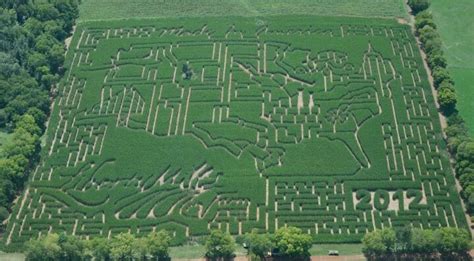 Corn Maze in Cville! | Aerial photo, Corn maze, Aerial