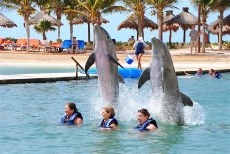 Dolphin swim at Cancun Dreams Resort. | Flamingo cancun resort, Dreams ...