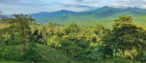 Chebera Churchura National Park - Enhanced Management and Enforcement of Ethiopia's Protected ...