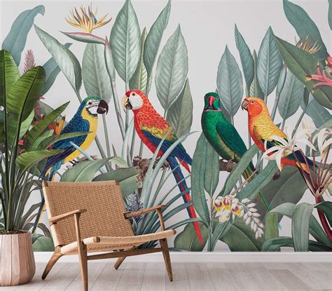 Colorful Macaws Bird Wall Murals | Ever Wallpaper UK