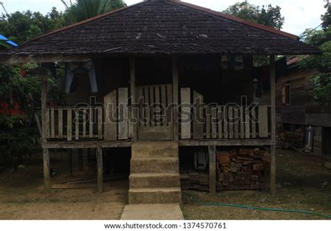 Dayak Tribe Houses Kalimantan Stock Photo 1374570761 | Shutterstock