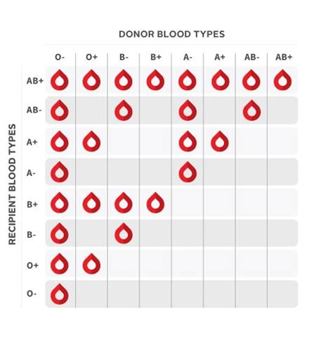 What is my blood type?