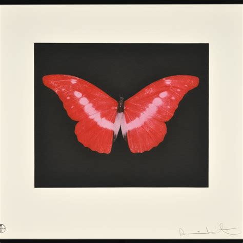 Damien Hirst "To Lose (Butterfly)" | Weng Contemporary