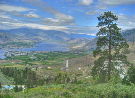 Osoyoos Ponderosa Pine | A good example of the Ponderosa Pin… | Flickr