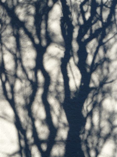 Free photo: Shadow Patterns - Abstract, Forms, Patterns - Free Download - Jooinn