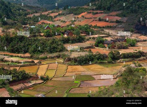 Madagascar, Hautes Terres Centrales, former province of Antananarivo ...