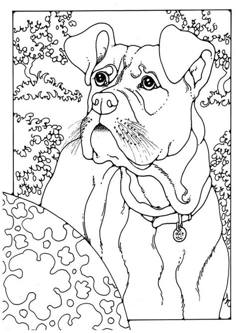 Coloring page boxer - img 28204. | Horse coloring pages, Dog coloring page, Coloring books