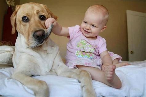 Confirming that the people around you have good dental hygiene. | Dogs and kids, Funny babies ...