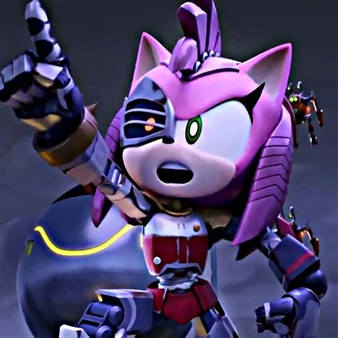 Rose oxidada icon •||Sonic prime||• en 2023 | Fotos graciosas de sonic, Arte erizo, Fotos de shadow