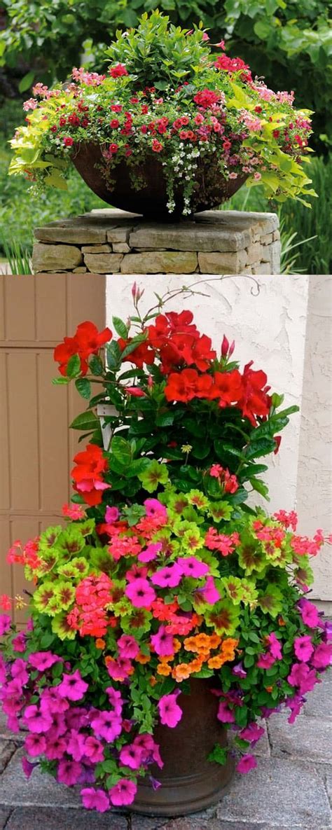 24 Stunning Container Garden Planting Designs - Page 3 of 3 - A Piece Of Rainbow