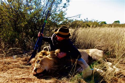 Hunting lions in South Africa with Mkulu African lion Hunting Safaris