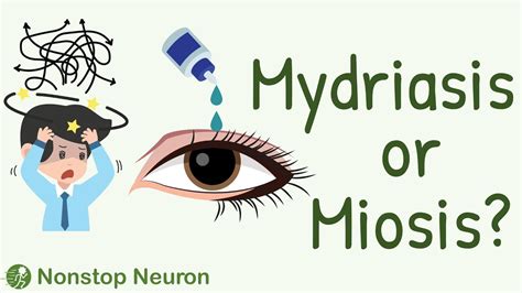 Effect of Various Classes of ANS Drugs on Pupil: Miosis vs Mydriasis