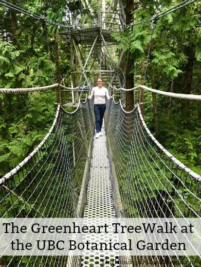 The Greenheart TreeWalk at the UBC Botanical Garden - One Hundred ...