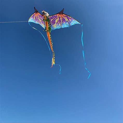 3-D Dragon Kite – Kitty Hawk Kites Online Store