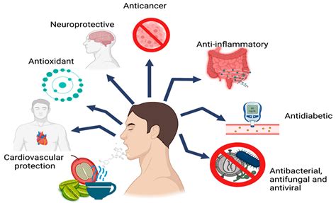 Coffee Chlorogenic Acids Incorporation for Bioactivity Enhancement of Foods: A Review