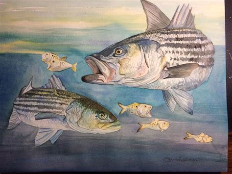 Striped Bass watercolor painting 12/16" Mini Canvas Art, Diy Canvas, Striper Fish, Watercolors ...