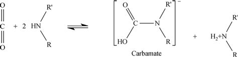 Reversible carbamate reaction. | Download Scientific Diagram