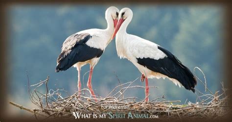 Stork Symbolism & Meaning | Stork Spirit, Totem, & Power Animal