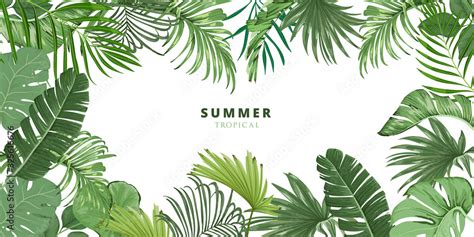 Fototapeta Urban Jungle summer tropical leaf frame, Tropical palm ...