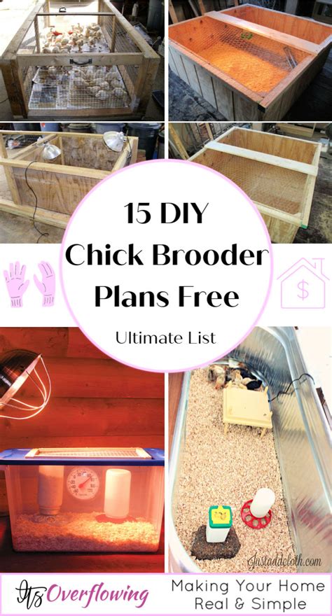 15 Easy DIY Chicken Brooder Ideas and Plans to Make