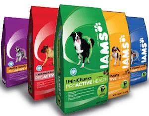 IAMS Dog Food Review (Ratings, Recalls, Ingredients!) | Herepup