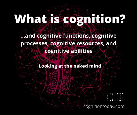 Cognition 101: Executive functions, Cognitive processes & abilities ...