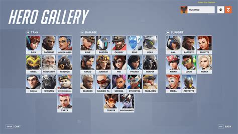 Hero Gallery - Overwatch 2 | Interface In Game