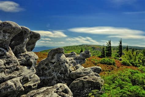 Discover West Virginia: Dolly Sods: An Island in the Sky