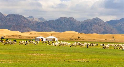 Mongolia Nomads Tour | Mongolia Nomad Homestay |Nomadic Life Tour