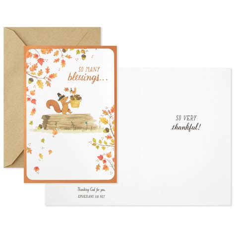 Assorted Religious Thanksgiving Cards, Pack of 6 - Boxed Cards - Hallmark