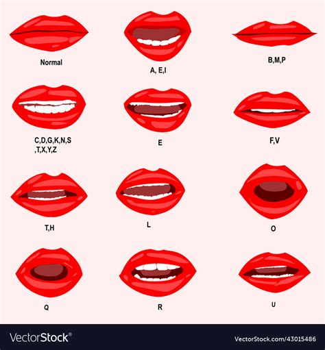 Lip sync for human mouth animation premium Vector Image