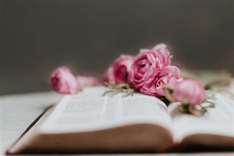 Flowers on Bible - Church stock photos - Logos Sermons