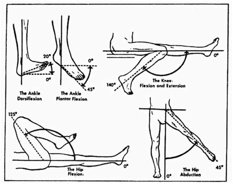 Supine Knee Range Of Motion Chart