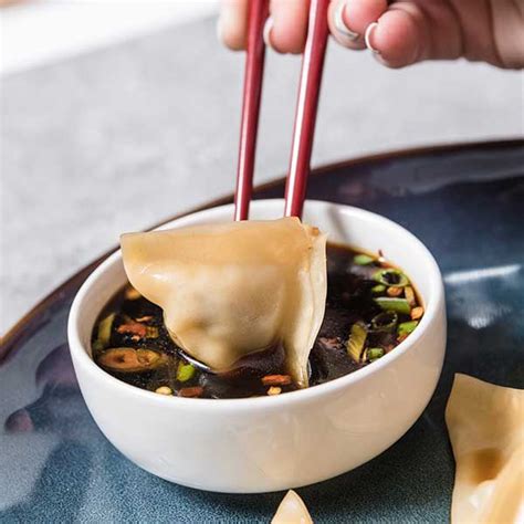 Dumpling Dipping Sauce | HamiltonBeach.com