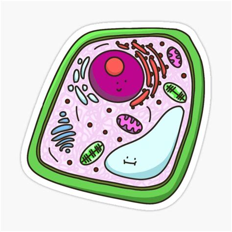 "Cute Plant Cell" Sticker by LivandChlo | Redbubble