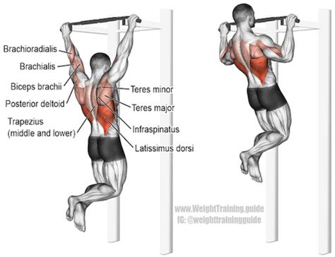 The Ultimate Pull Up Progression Plan for Beginners - SET FOR SET