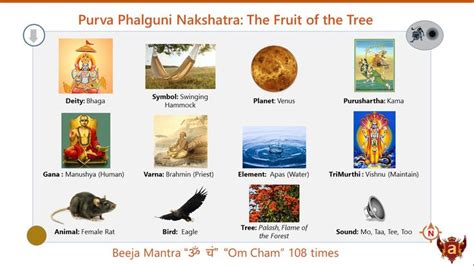 Purva Phalguni Nakshatra | Astrology meaning, Vedic astrology, Astrology