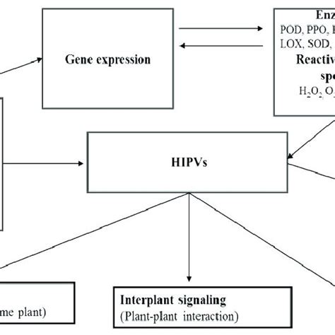 The life cycle of Helicoverpa armigera... | Download Scientific Diagram