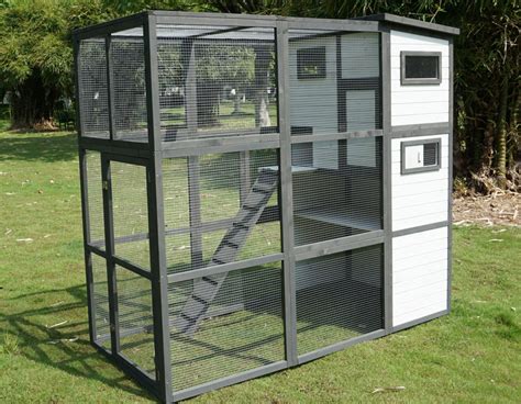 Large Outdoor Cat Enclosure For Sale | Buy Online & Save