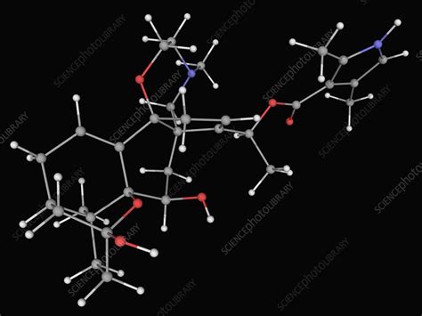 Batrachotoxin poison molecule - Stock Image - F004/5560 - Science Photo Library