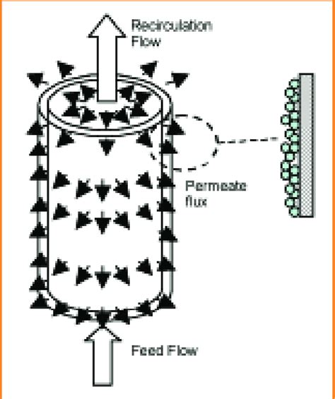 Microfiltration process | Download Scientific Diagram