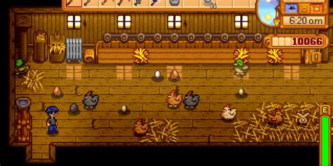 How To Make Chickens Happy In Stardew Valley