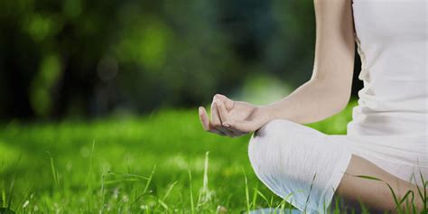 Forest Meditation | Blandford Nature Center