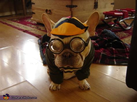 Nerd Dog Costume | No-Sew DIY Costumes