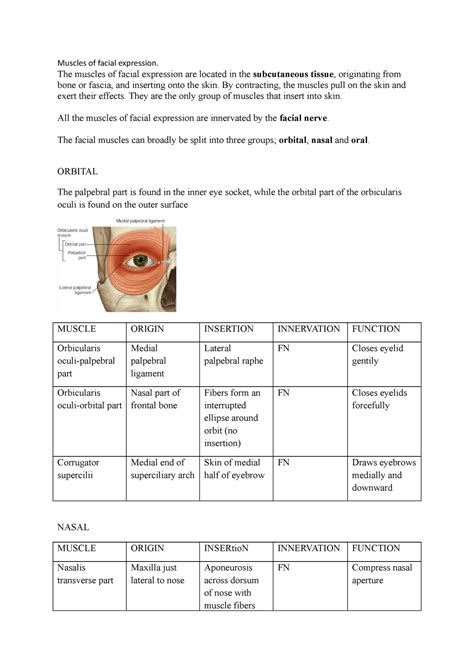 52 - Muscles of facial expression - The muscles of facial expression ...