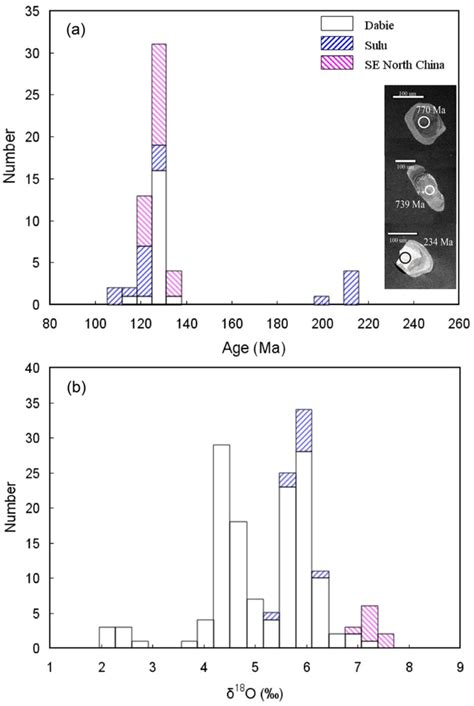 Postcollisional mafic igneous rocks record crust-mantle interaction ...