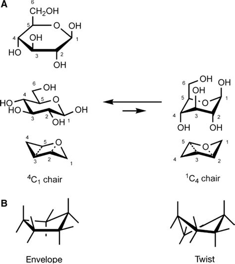 Beta Glucose Chair Conformation