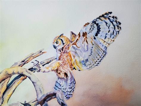 Great Horned Owl : r/Watercolor