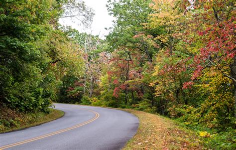 Asheville 2019 Fall Color Report & Forecast | Scenic Views | Asheville ...